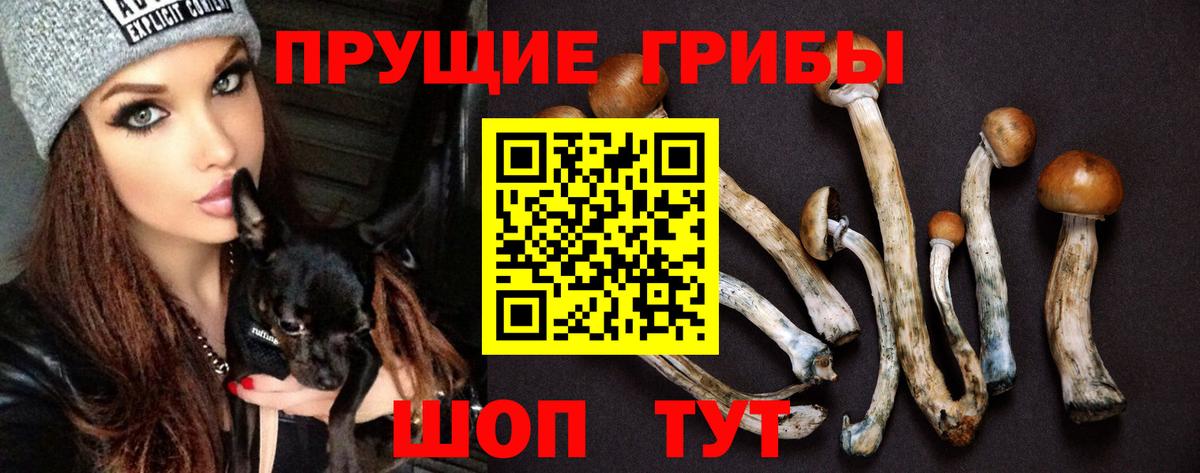 Октябрьский  Галлюциногенные грибы Magic Shrooms  где продают   Псилоцибиновые грибы Cubensis  Вход с VPN 